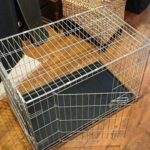 Folding steel wire dog cage - wire,