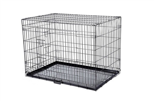 Confidence pet dog - confidence,