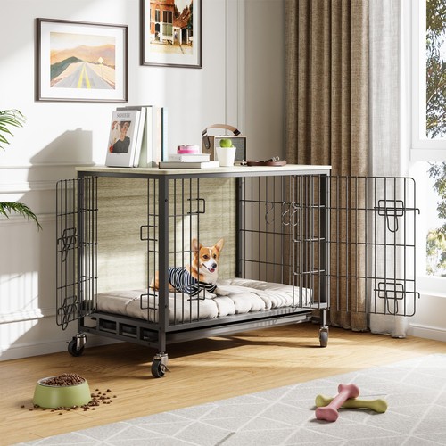 Dog cage pet - dog,