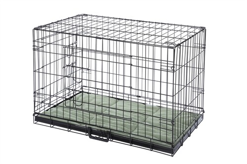 Confidence pet dog folding - dog, 2