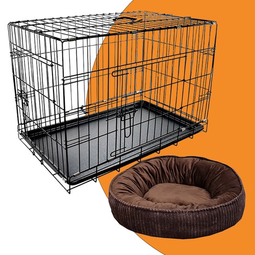 Confidence pet dog - confidence,