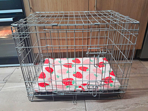Folding steel wire dog crate - folding,