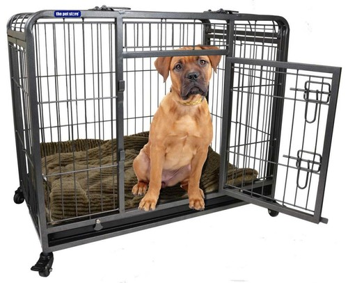 Pet store heavy duty - heavy,