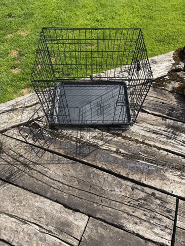 Dog cage puppy - puppy, training