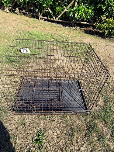 Folding steel wire dog crate - dog,