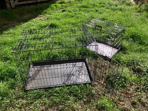 Dog crate size collapsible - crate, m,