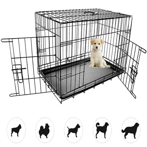 Dog pet training transport - dog,