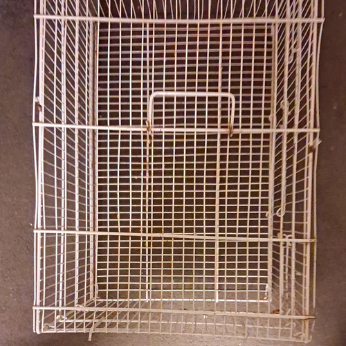 White metal wire dog - white, cage