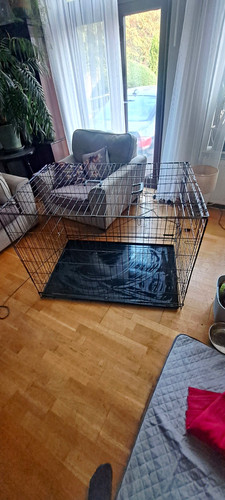 Folding metal wire - wire, dog
