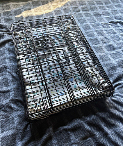 Black folding steel - black, dog