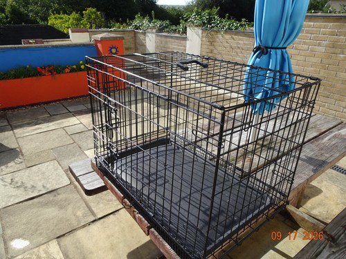 Small dog crate cage - dog, cage,