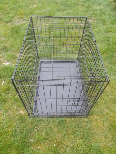 Dog cage puppy pet - puppy,